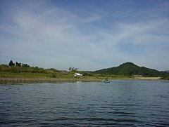 左岸に萬屋氏登場