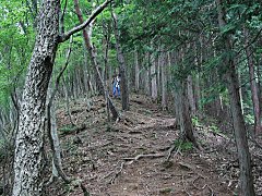 厳しい登り