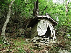 山頂直下の祠