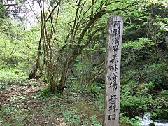 森林浴場の標柱