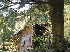 倒壊寸前の分校跡