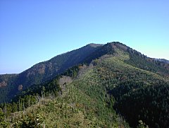 第2ピークから望む藤無山