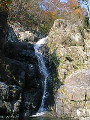 gt]