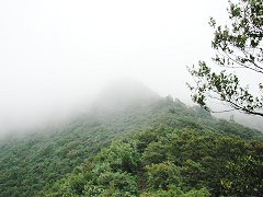 雲に覆われた山頂付近