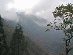 氷ノ山東斜面を望む