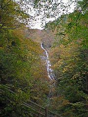 布滝