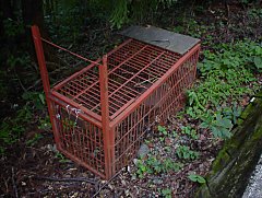 熊用の捕獲檻