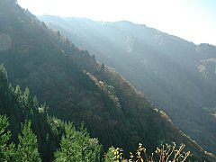 逆光の東尾根斜面