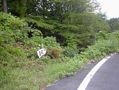 来日の村への道標