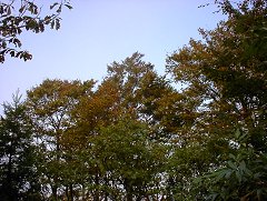 小ズッコを抜けると雲が切れた