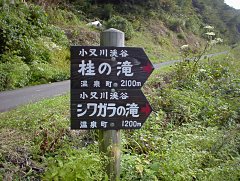 林道脇の入口