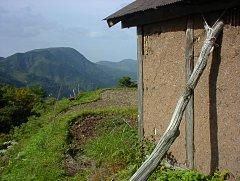 農作業小屋越しの風景
