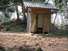 猪が耕した山頂広場