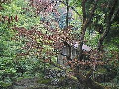 不動尊周辺の異変