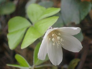 �~���}�J�^�o�~